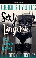 Wearing My Wife's Sexy Lingerie