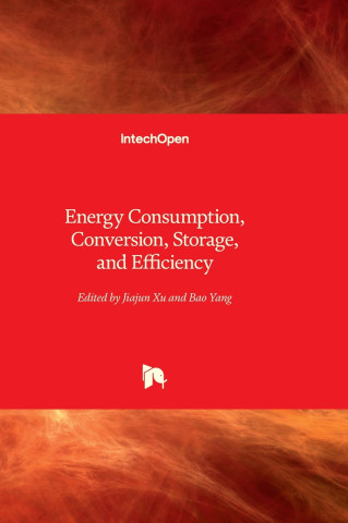 Energy Consumption, Conversion, Storage, and Efficiency