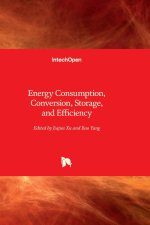 Energy Consumption, Conversion, Storage, and Efficiency