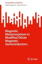 Magnetic Metamorphism in Modified Dilute Magnetic Semiconductors