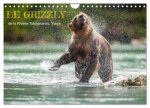 GRIZZLY DE RIVIERE TATSHENSHINI YUKON CA