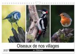 Oiseaux de nos villages en Gâtinais (Calendrier mural 2027 DIN A4 vertical), CALVENDO calendrier mensuel