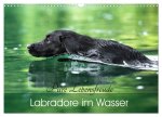 Labradore im Wasser (Wandkalender 2027 DIN A3 quer), CALVENDO Monatskalender