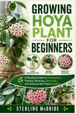GROWING HOYA PLANT FOR BEGINNERS