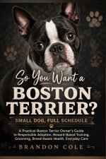 So You Want a Boston Terrier? Small Dog, Full Schedule