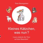 Kleines Kätzchen, was nun?