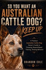 So You Want an Australian Cattle Dog? Keep Up