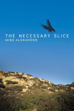 The Necessary Slice