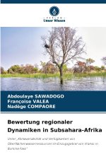 Bewertung regionaler Dynamiken in Subsahara-Afrika