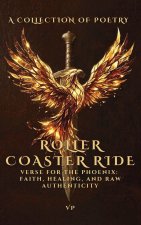 Roller Coaster Ride