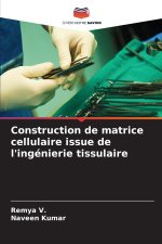 Construction de matrice cellulaire issue de l'ingénierie tissulaire