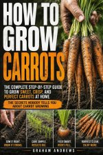 How To Grow Carrots