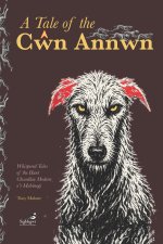 A tale of the Cŵn Annwn