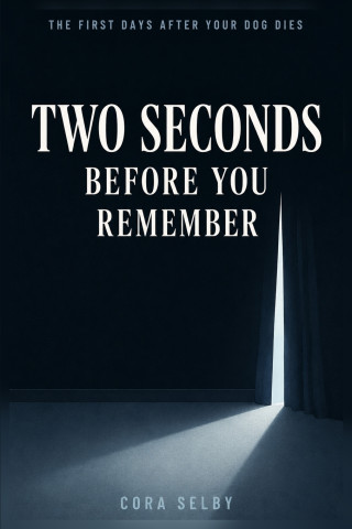 Two Seconds Before You Remember