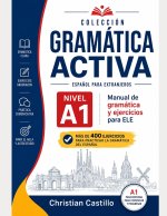 Gramatica Activa A1