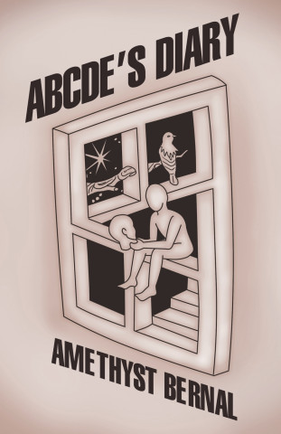 ABCDE'S Diary
