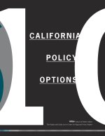 California Policy Options 2010