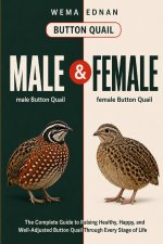 Button Quail