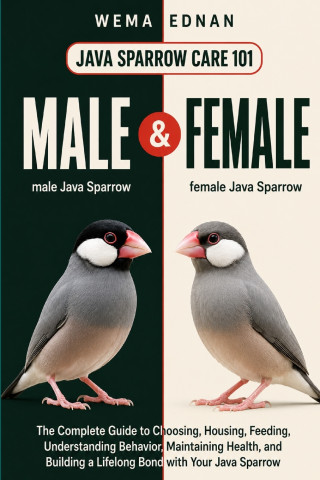 Java Sparrow Care 101