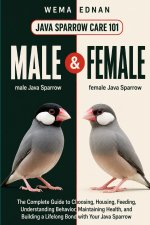Java Sparrow Care 101