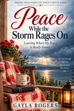 Peace While the Storm Rages On