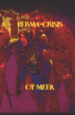 Perma-Crisis