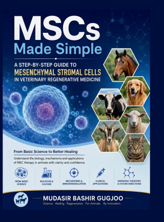MSCs Made Simple