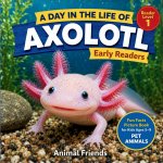 Axolotl