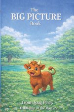 The BIG PICTURE Book