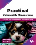 Practical Vulnerability Management