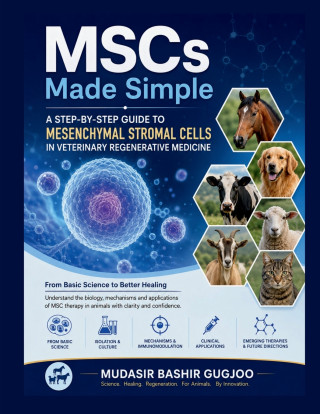MSCs Made Simple