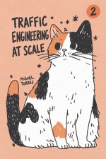 Traffic Engineering at Scale