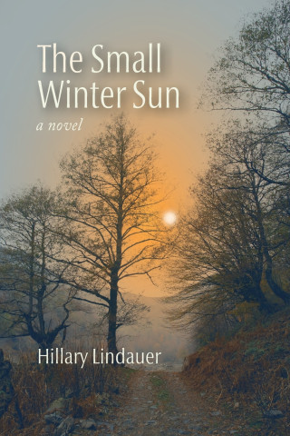 The Small Winter Sun