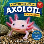 Axolotl
