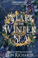 Stars in the Winter Sea