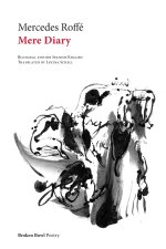 Mere Diary