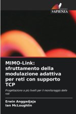 MIMO-Link