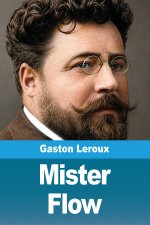 Mister Flow