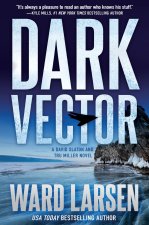 Dark Vector