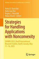Strategies for Handling Applications with Nonconvexity