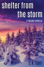 Shelter From The Storm