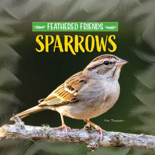 Sparrows