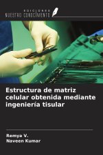 Estructura de matriz celular obtenida mediante ingeniería tisular