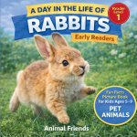 Rabbits