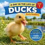 Ducks