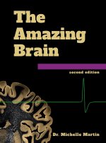 The Amazing Brain