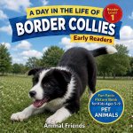 Border Collies