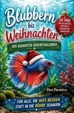 Blubbern im Advent