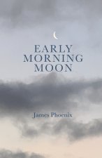 Early Morning Moon
