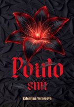 Pouto snů